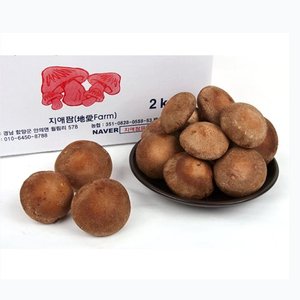 국내산 친환경 무농약 표고버섯(1kg/5kg)