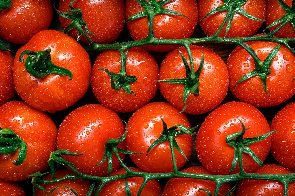 농산물 대표사진