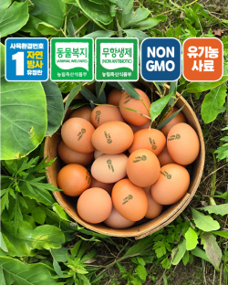 [ 산풀숲농장 난각번호 1번 ] 풀란 참 계란 / NON-GMO 자연방사 동물복지(20구/30구)