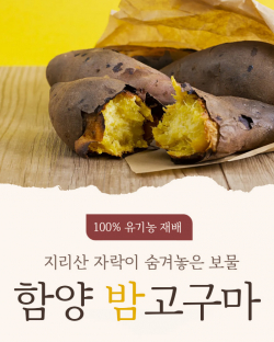 [ 산야애 ] 밤고구마 10kg