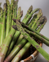 [이정수농부] 아스파라거스 1kg