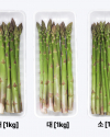 [이정수농부] 아스파라거스 1kg