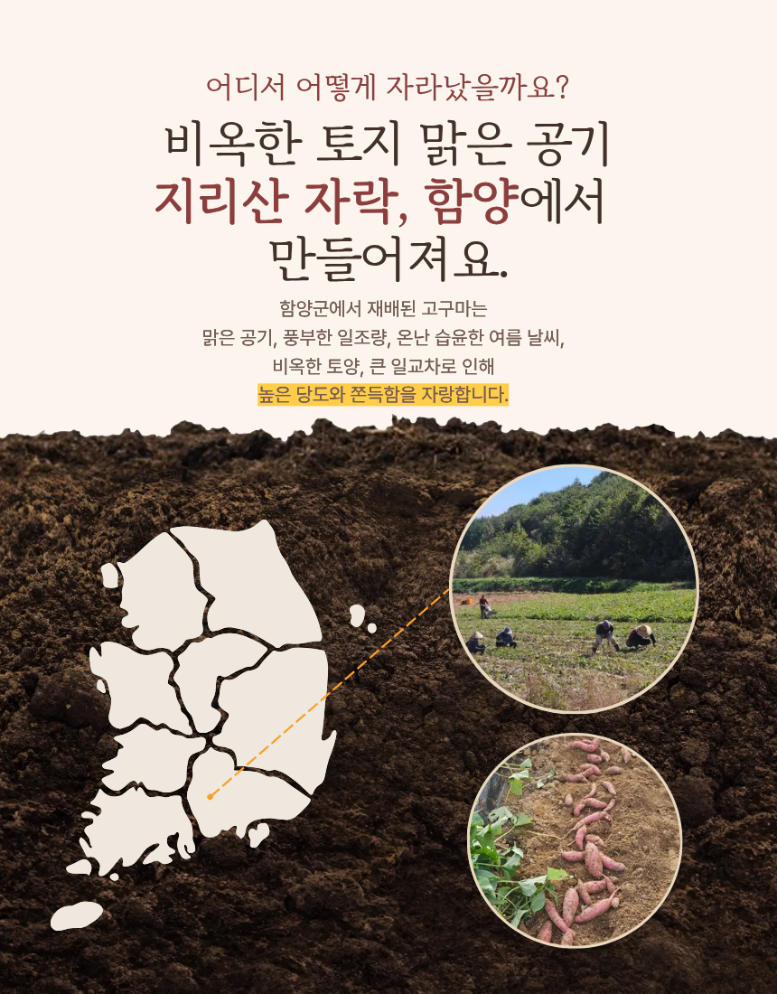 [ 산야애 ] 밤고구마 10kg