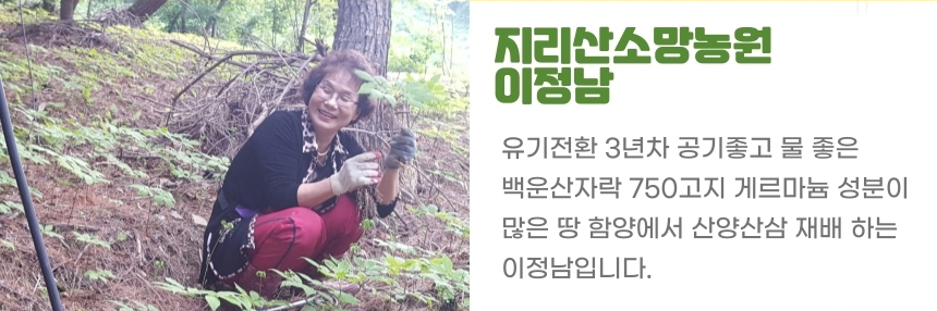 
지리산소왕농원
이정남
유기전환 3년차 공기좋고 물 좋은
백운산자락 750고지 게르마늄 성분이
많은 땅 함양에서 산양산삼 재배 하는
이정남입니다..