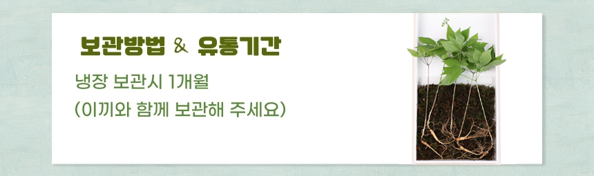 
보관 방법 & 유통기간
냉장보관시 1개월
(이끼와 함께 보관해 주세요)