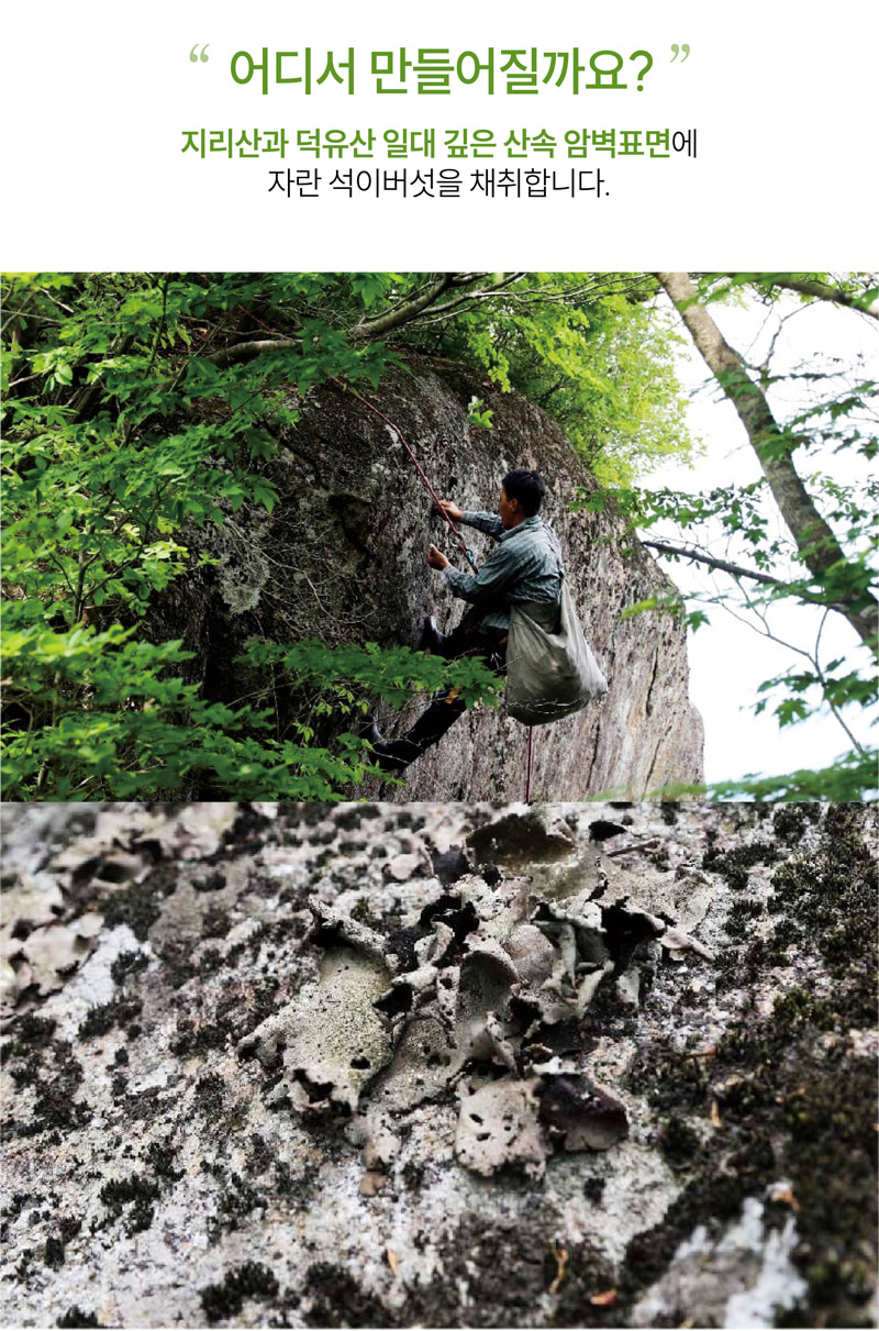 
어디서 만들어질까요?
지리산과 덕유산 일대 깊은 산속 암벽표면에
자란 석이버섯을 채취합니다.