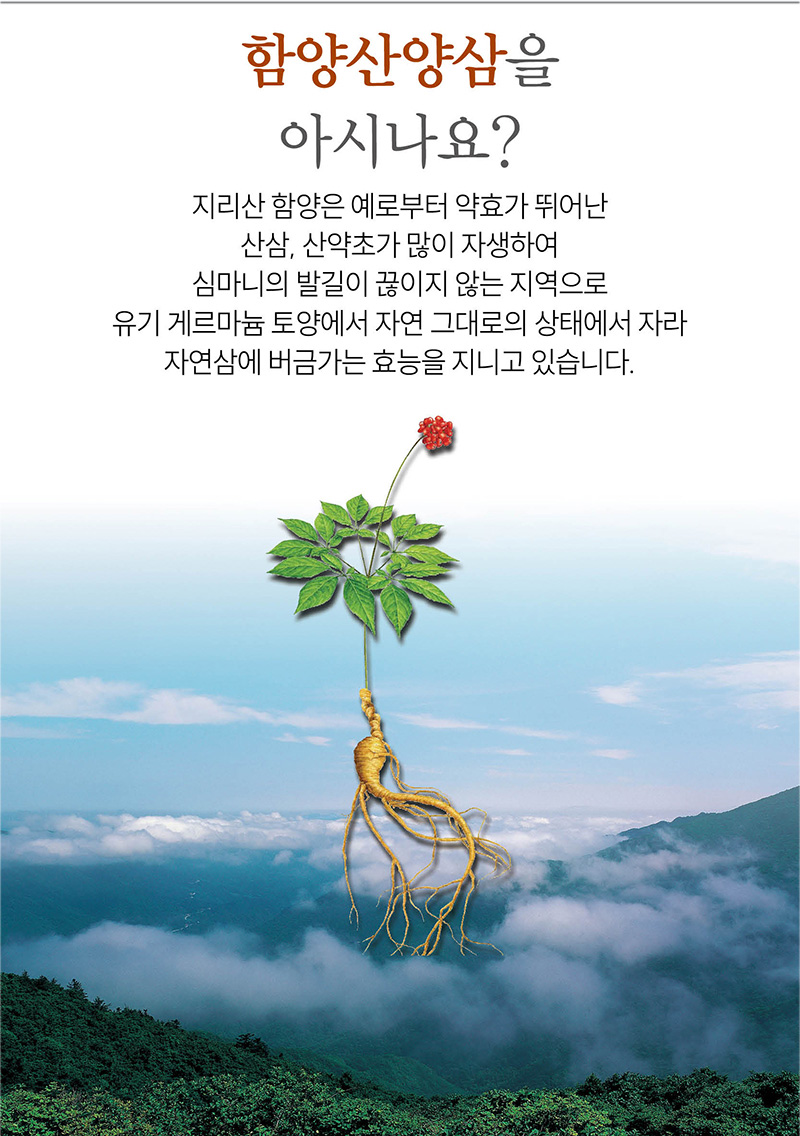 
함양산양삼을
아시나요?
지리산 함양은 예로부터 약효가 뛰어난
산삼, 산약초가 많이 자생하여
심마니의 발길이 끊이지 않는 지역으로
유기 게르마늄 토양에서 자연 그대로의 상태에서 자라 
자연삼에 버금가는 효능을 지니고 있습니다.