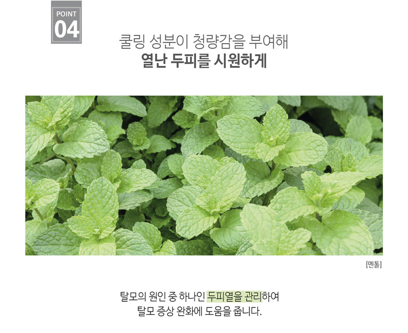 쿨링 성분이 청량감을 부여해 열난 두피를 시원하게 탈모의 원인 중 하나인 두피열을 관리하여 탈모 증상 완호에 도움을 줍니다