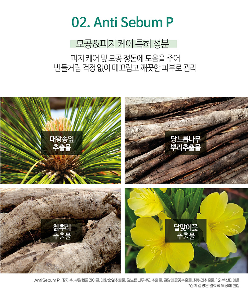 모공&피지케어 특허 성분
