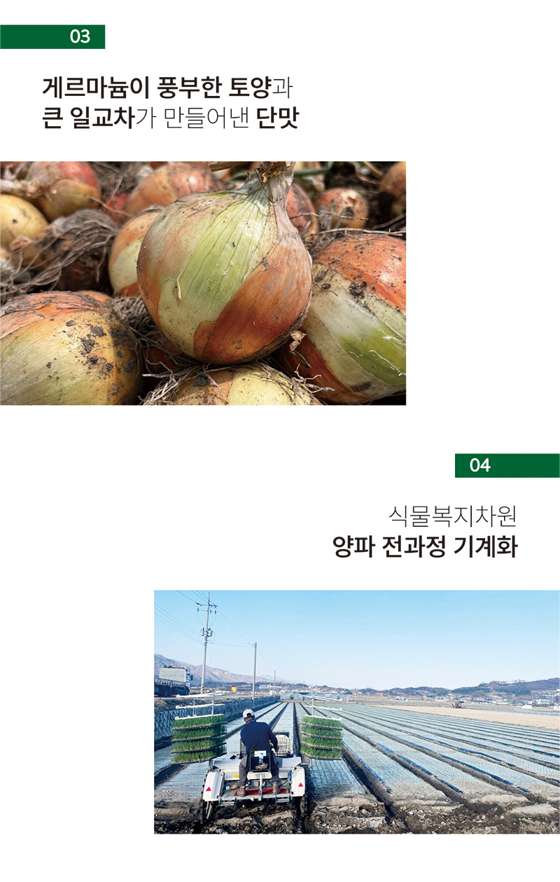 
03
게르마늄이 풍부한 토양과
큰 일교차가 만들어 낸 단맛
04
식물복지차원
양파 전과정 기계화