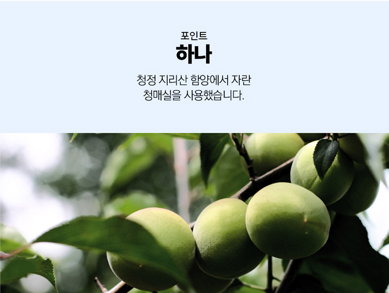 
포인트
하나
청정 지리산 함양에서 자란
청매실을 사용했습니다.