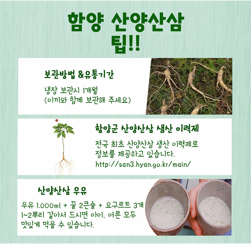 
함양 산양산삼
팁!!
보관방법 & 유통기간
냉장 보관시 1개월
(이끼와 함께 보관해 주세요)
함양군 산양산삼 생산 이력제
전국 최초 산양산삼 생산이력제로
정보를 제공하고 있습니다.
http://san3.hyan.go.kr/main/
산양산삼 우유
우유 1.000ml + 꿀 2큰술 + 요구르트 3개
1~2뿌리 갈아서 드시면 아이, 어른 모두
맛있게 먹을 수 있습니다.
