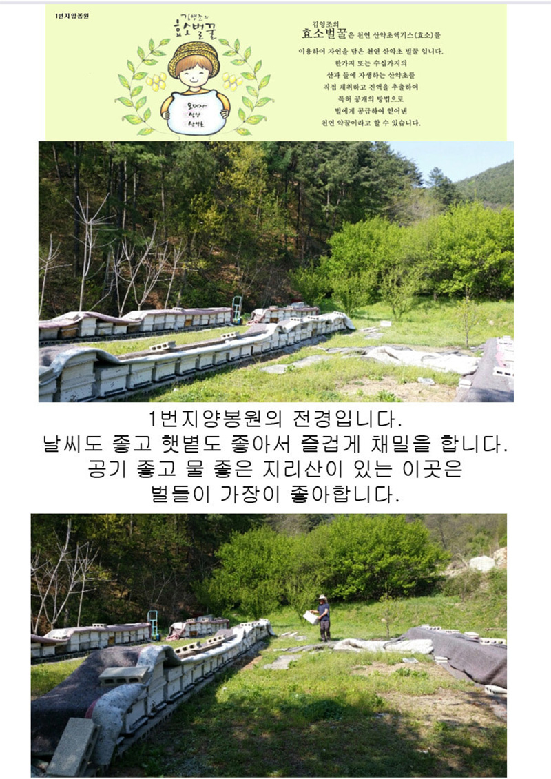 
1번지 양봉원
김영조의
효소벌꿀은 천연 산약초액기스(효소)를
이용하여 자연을 담은 천연 산약초 벌꿀 입니다.
한가지 또는 수십가지의
산과 들에 자생하는 산약초를
직접 채취하고 진액을 추출하여
특허 공개의 방법으로
벌에게 공급하여 얻어낸
천연 약꿀이라고 할 수 있습니다.
1번지양봉원의 전경입니다.
날씨도 좋고 햇볕도 좋아서 즐겁게 채밀을 합니다.
공기 좋고 물 좋은 지리산이 있는 이곳은
벌들이 가장이 좋아합니다.