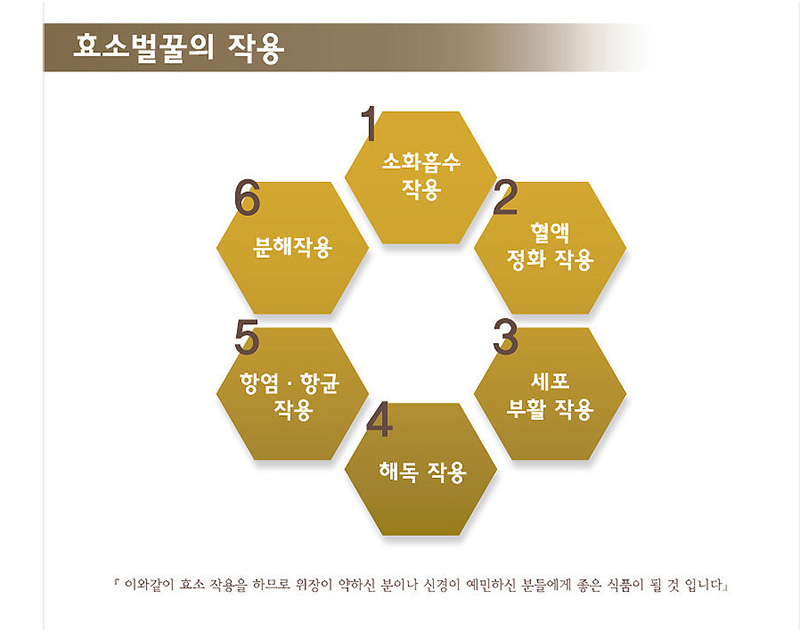 
효소벌꿀의 작용
1 소화흡수 작용
2 혈액 정화 작용
3 세포부활 작용
4 해독 작용
5 항염·항균작용
6 분해작용
이와같이 효소 작용을 하므로 위장이 약하신 분이나 신경이 예민하신 분들에게 좋은 식품이 될 것입니다.