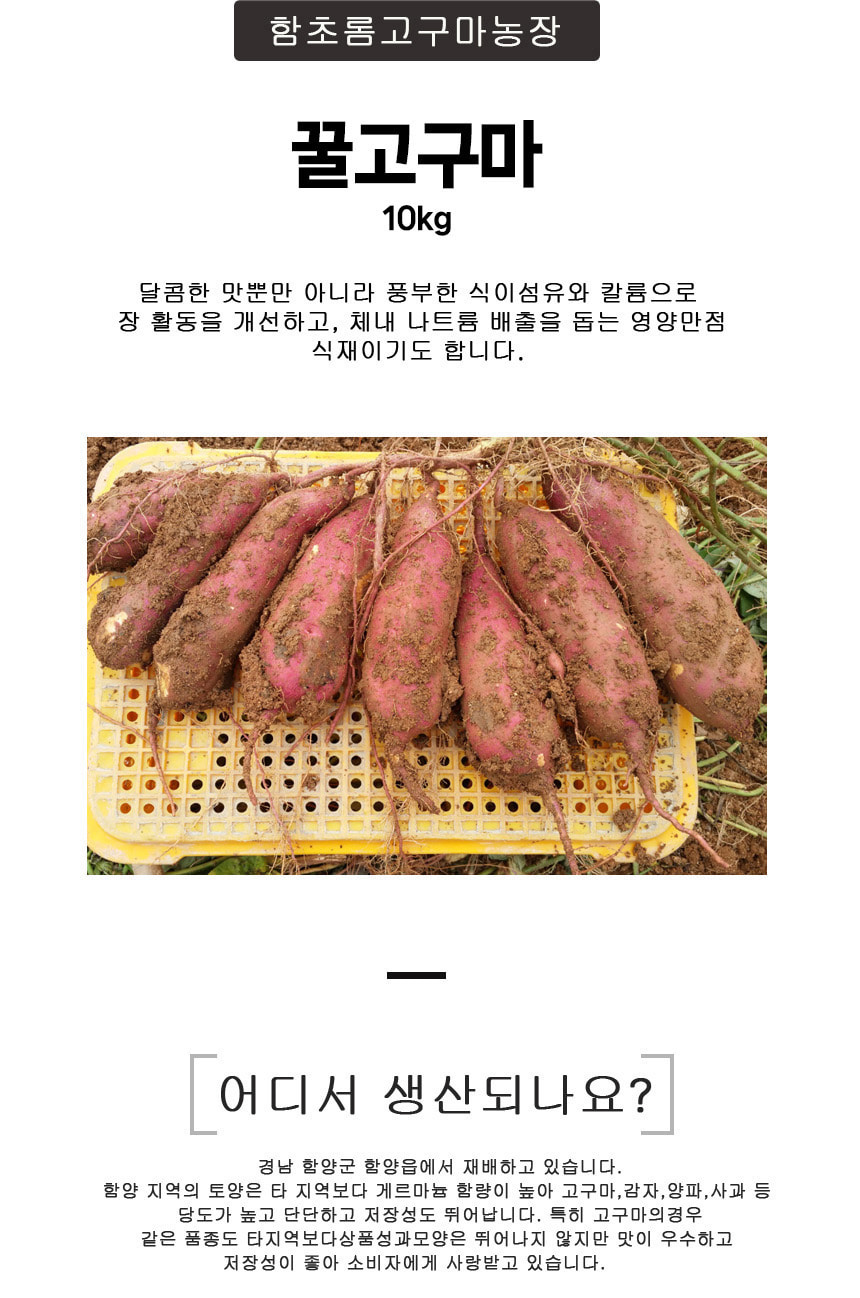 함초롬고구마농장
꿀고구마
10kg
달콤한 맛뿐만 아니라 풍부한 식이섬유와 칼륨으로
장 활동을 개선하고,체내 나트름 배출을 돕는 영양만점
식재이기도 합니다.
어디서 생산되나요?
경남 함양군 함양읍에서 재배하고 있습니다.
함양 지역의 토양은 타 지역보다 게르마늄 함량이 높아 고구마,감자,양파,사과 등
당도가 높고 단단하고 저장성도 뛰어납니다. 특히 고구마의 경우
같은 품종도 타지역보다 상품성과 모양은 뛰어나지 않지만 맛이 우수하고
저장성이 좋아 소비자에게 사랑받고 있습니다.