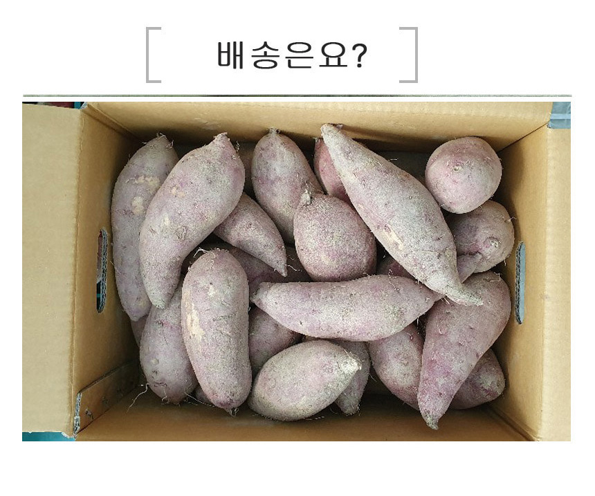 배송은요?