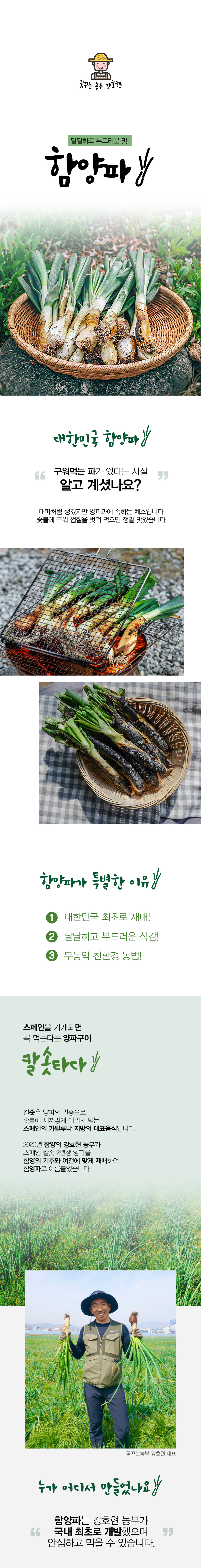 함양파( 칼솟 )1kg/2kg/3kg/5kg