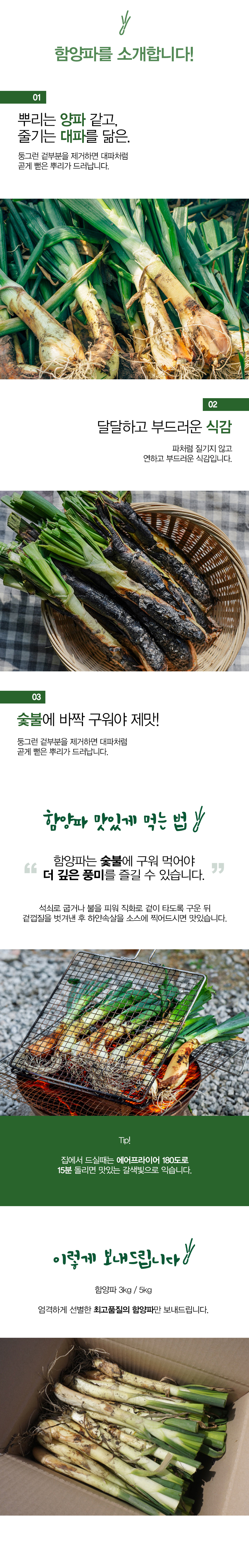 함양파( 칼솟 )1kg/2kg/3kg/5kg