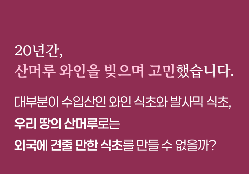 [13년 숙성] 하미앙 와인식초 250ml / 발사믹식초 250ml / 산머루 식초세트 250mlx2