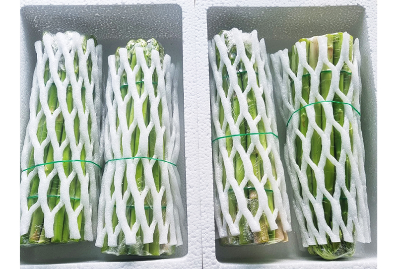 [이정수농부] 아스파라거스 1kg