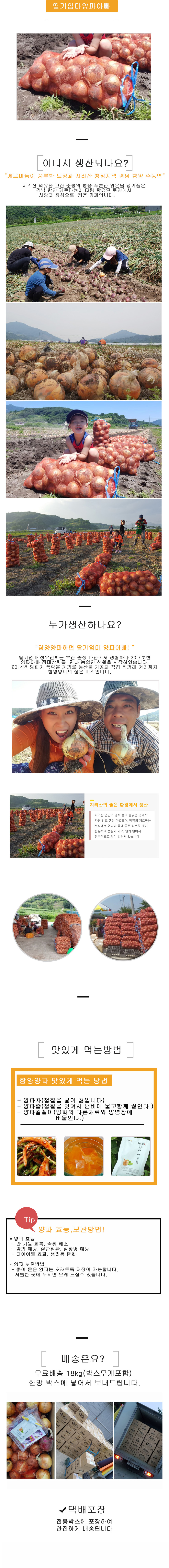 [ 예약상품 / 중생종 ]  양파 10kg/15kg 특대혼합