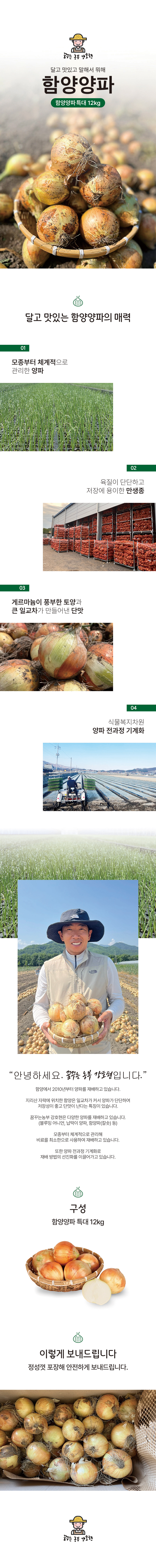 [ 꿈꾸는농부 강호현 ] 양파 12kg  특대