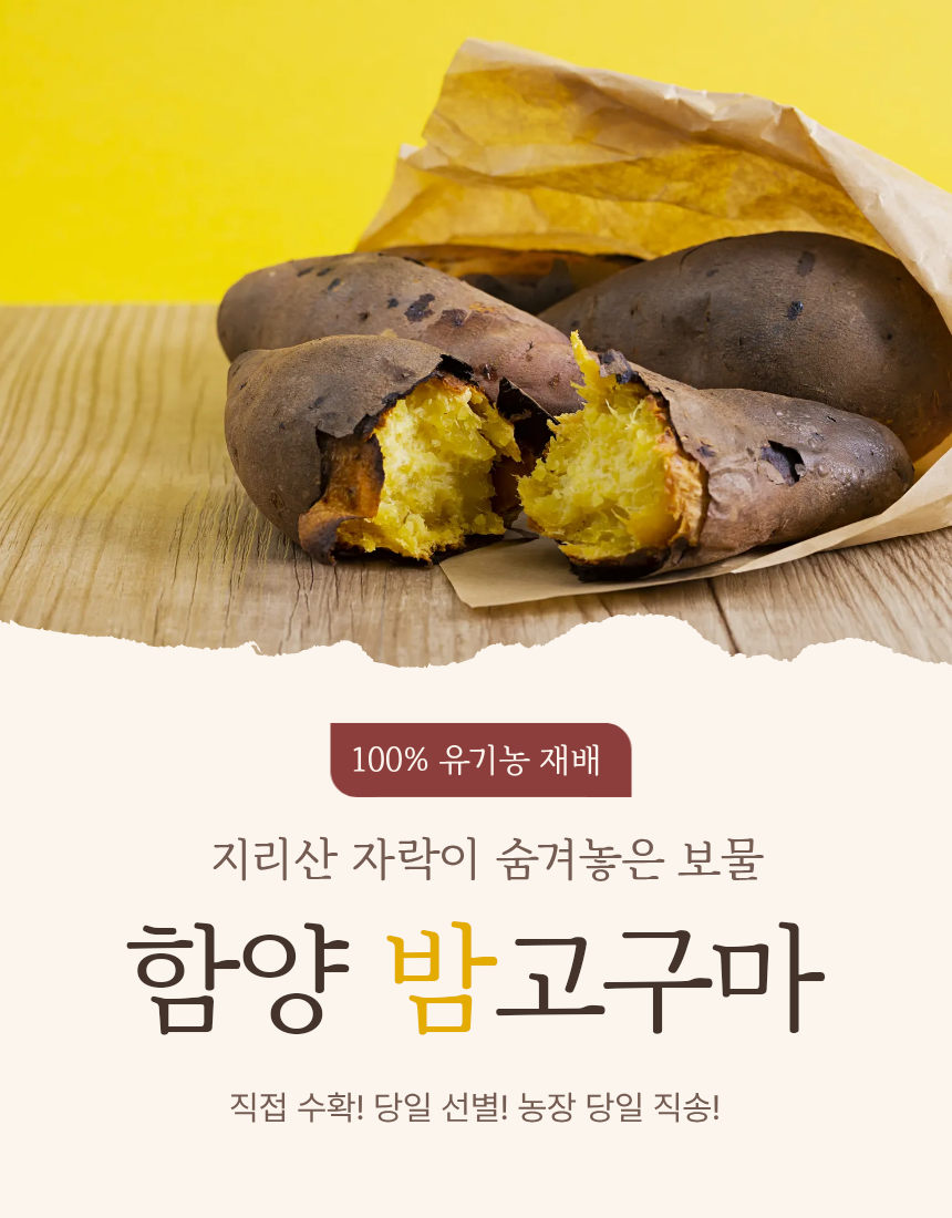 [ 산야애 ] 밤고구마 10kg